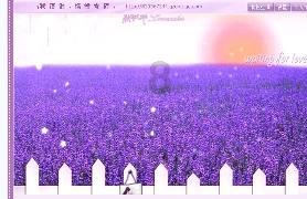 逃离空旷大街3