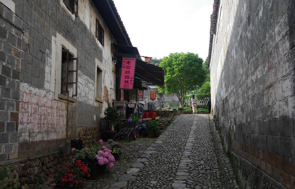 逃离金刚鹦鹉森林